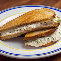 Jewish Deli–style Tuna Melt With Relish, Dill, Celery, And Swiss Recipe