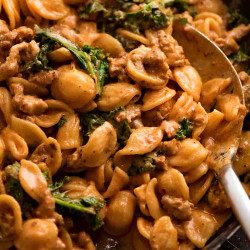Orecchiette Sausage Pasta In Creamy Tomato Sauce
