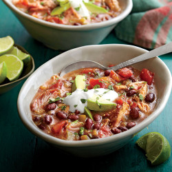 Southwest Pork Stew Recipe