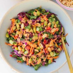 Edamame Crunch Salad
