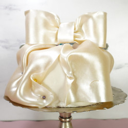 Edible Fabric