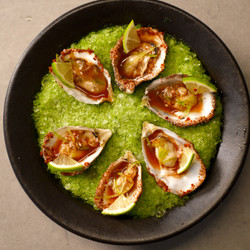 Fresh Summer Oyster Recipe With Clamato Michelada