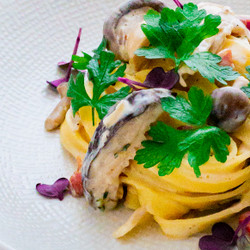 Tagliatelle Met Romige Paddenstoelensaus