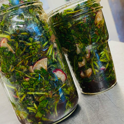 Watercress Kimchi
