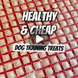 Homemade Dog Treats