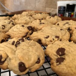 Disney’s Grand Floridian Resort &amp; Spa Chocolate Chip Cookies