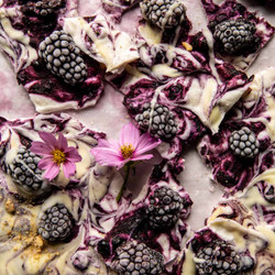 6 Ingredient Frozen Blackberry Yogurt Bark