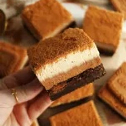 Vegan Biscoff Brownies