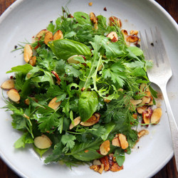 Soft Herb Salad