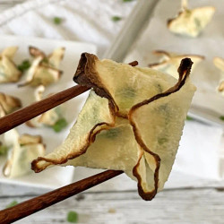 Keto Wontons With Cream Cheese Filling