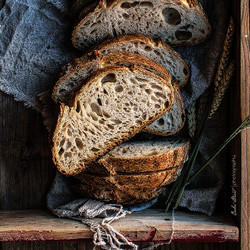 Basic Bread, My First Sourdough Bread