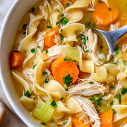 Instant Pot Chicken Noodle