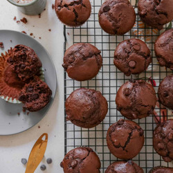 Chocolate Sourdough Muffins