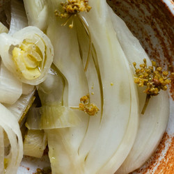 Fermented Fennel