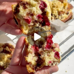 Muffin Cases
