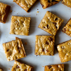 Blondies, Infinitely Adaptable
