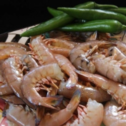 Prawn Caldine