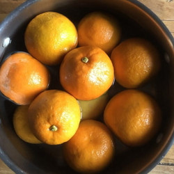 Best Ever Seville Orange Marmalade