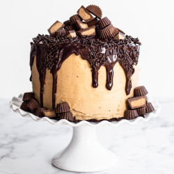 Chocolate Brownie Cake With Peanut Butter Frosting