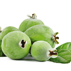 Feijoa Cordial