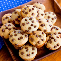 Protein Muffins