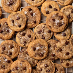 Mini Chocolate Chip Cookies