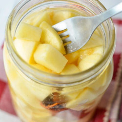 Fermented Apples