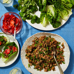 Larb With Lime Radishes