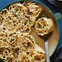 Chicken Alfredo Lasagna Roll Ups