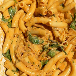 Baked Caramelized Onion Pasta