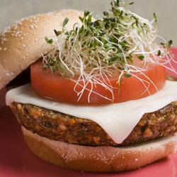Copycat Gardenburger