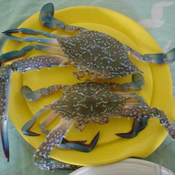Crab With Pineapple Curry