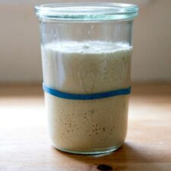 How To Build A Sourdough Starter From Scratch