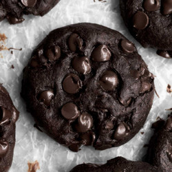 Olive Oil Cookies