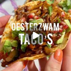 Oesterzwam Taco's