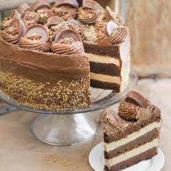 Peanut Butter Cup Brownie Cake