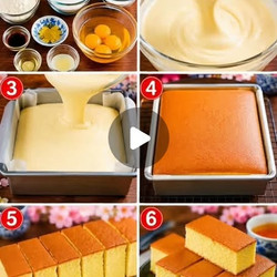 Quick Dinner Recipes