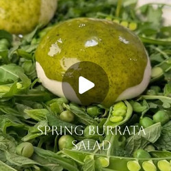 Spring Burrata Salad