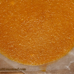 Mango Fruit Leather