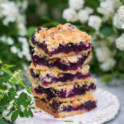 Blueberry Bars