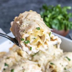 Chicken Alfredo Lasagna Roll Ups