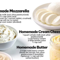 Homemade Mozzarella Cheese (quick &amp; Easy)