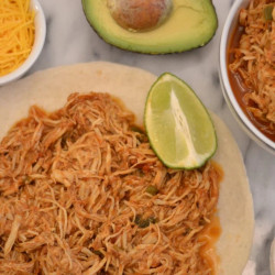 Instant Pot Salsa Chicken