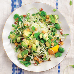 Avocado &amp; Fava Bean Salad