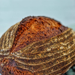 Best Ever Gluten Free Sourdough Bread