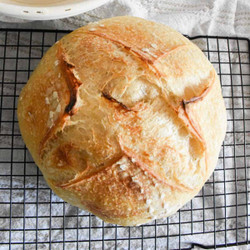 Same Day Sourdough Bread