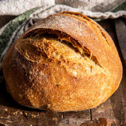 The Best (easiest) No Knead Bread