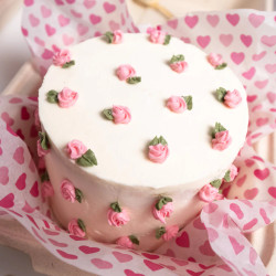 Simple Bento Cake For One
