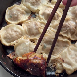 One Pot Pan Fried Dumplings