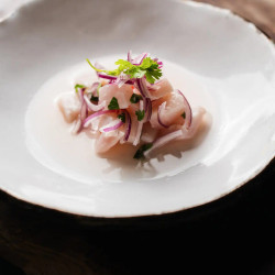 Ceviche